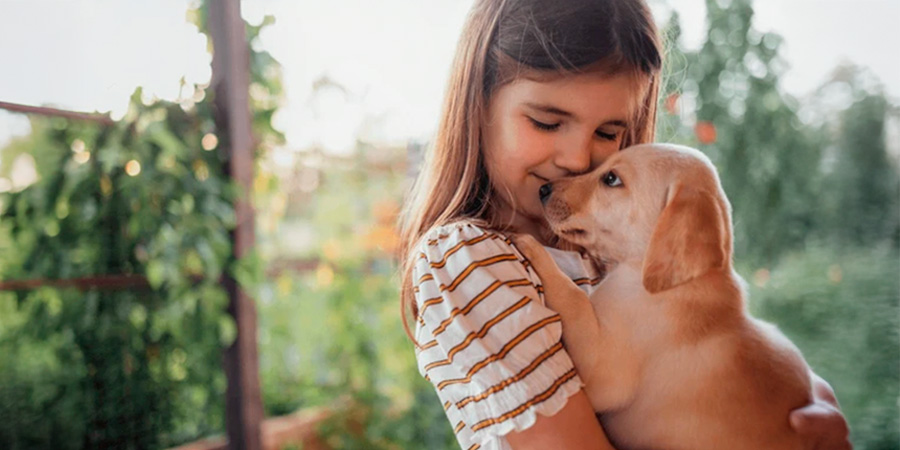 Animal de estimação contribui para desenvolvimento cognitivo e emocional infantil